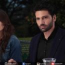 Endless Love - Kaan Urgancioglu