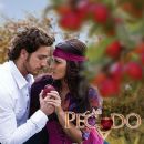 2009 Mexican television series endings