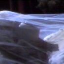 Dead of Night - 375 x 252
