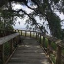 Tourism in North Carolina