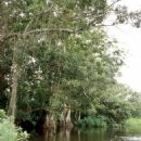 Biosphere reserves of Nicaragua