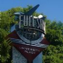 Video game universities