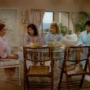 Designing Women - Delta Burke