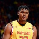 Diamond Stone