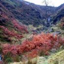 Visitor attractions in Bradford District