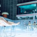 The Zero Theorem