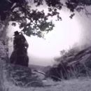 The Marksman