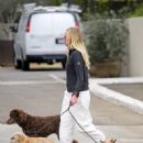 Portia De Rossi – Seen whith her three dogs Augie, Mabel, and Kid in Montecito - 454 x 641
