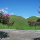 Buddhist temples in Korea