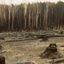 1980s wildfires