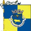Salvaterra de Magos