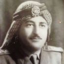 Shaher Abu Shahout