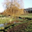 River Ash, Hertfordshire