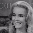 The Many Loves of Dobie Gillis - Tuesday Weld