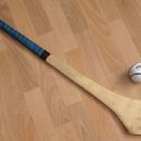 Gaelic Athletic Association clubs established in 1995