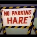 1954 short films