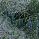 Tunnels completed in 1864