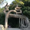 Botanical gardens in Guangdong