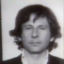 1977 in United States case law