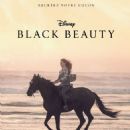 Black Beauty (2020) - 454 x 605