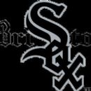 Professional baseball teams in Virginia
