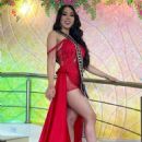 Larissa Matamoros- Miss Continentes Unidos 2022- Preliminary Events - 454 x 568