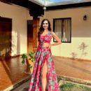 Diana Robles- Reina Hispanoamericana 2022- Preliminary Events - 454 x 566