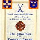 1951 in Gaelic games