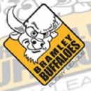 Bramley Buffaloes players