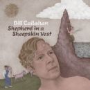 Shepherd in a Sheepskin Vest - Bill Callahan