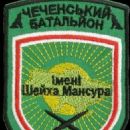 Chechen armies in exile