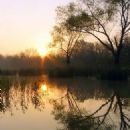 Visitor attractions in Okmulgee County, Oklahoma