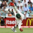Brad Haddin - 454 x 314