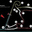 2008 Chinese Grand Prix