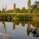 Regen basin