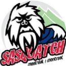 2009 disestablishments in Quebec