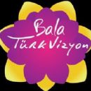 2015 establishments in Turkmenistan