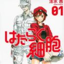 Cells at Work!