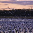 Political history of Delaware