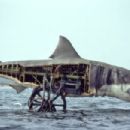 JAWS 1975 Directed By Stephen Spielberg - 454 x 303