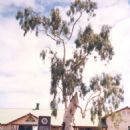 2006 crimes in Australia