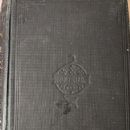 Molly Bawn (novel)