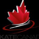 2006 Canadian Figure Skating Championships