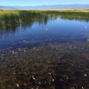 Valleys of Sierra County, California