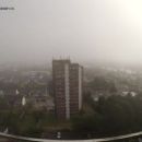 Fog
