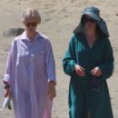 Sarah Paulson – With Elizabeth Reaser at Malibu beach - 454 x 681