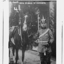 Nikolaus, Hereditary Grand Duke of Oldenburg