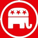 Executive committees of political parties