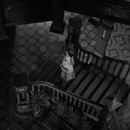 Cat People (1942) - 454 x 330