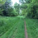 Local Nature Reserves in Oxfordshire